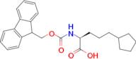 Fmoc-(S)-2-amino-5-cyclopentylpentanoic acid