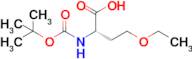 N-Boc-O-ethyl-L-homoserine