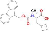 Fmoc-N-methyl-(S)-3-Cyclobutylalanine