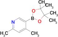 2,4-Dimethyl-5-(4,4,5,5-tetramethyl-1,3,2-dioxaborolan-2-yl)pyridine