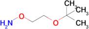 O-(2-(tert-butoxy)ethyl)hydroxylamine