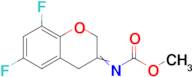 methyl N-(6,8-difluoro-3,4-dihydro-2H-1-benzopyran-3-ylidene)carbamate
