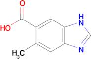 5-Methyl-1H-benzo[d]imidazole-6-carboxylic acid