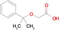 2-((2-Phenylpropan-2-yl)oxy)acetic acid