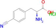 (S)-2-amino-3-(4-cyanophenyl)propanoic acid hydrochloride