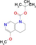 Tert-butyl 5-methoxy-3,4-dihydro-1,7-naphthyridine-1(2H)-carboxylate