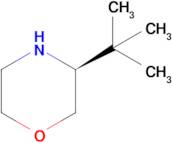 (S)-3-(tert-butyl)morpholine