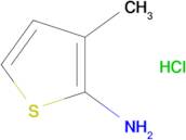 3-Methylthiophen-2-amine hydrochloride