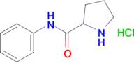 N-phenylpyrrolidine-2-carboxamide hydrochloride