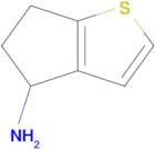 5,6-Dihydro-4H-cyclopenta[b]thiophen-4-amine