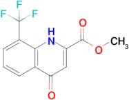 methyl 4-oxo-8-(trifluoromethyl)-1,4-dihydroquinoline-2-carboxylate