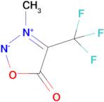 3-methyl-5-oxo-4-(trifluoromethyl)-2,5-dihydro-1,2,3-oxadiazol-3-ium-2-ide