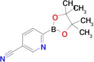 6-(4,4,5,5-Tetramethyl-1,3,2-dioxaborolan-2-yl)nicotinonitrile