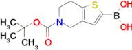 (5-(Tert-butoxycarbonyl)-4,5,6,7-tetrahydrothieno[3,2-c]pyridin-2-yl)boronic acid