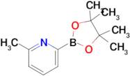 2-Methyl-6-(4,4,5,5-tetramethyl-1,3,2-dioxaborolan-2-yl)pyridine