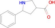 5-Phenylpyrrolidine-3-carboxylic acid