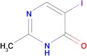 5-iodo-2-methyl-3,4-dihydropyrimidin-4-one