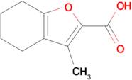 3-Methyl-4,5,6,7-tetrahydrobenzofuran-2-carboxylic acid