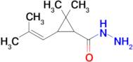 2,2-Dimethyl-3-(2-methylprop-1-en-1-yl)cyclopropane-1-carbohydrazide