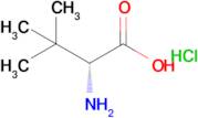 (R)-2-amino-3,3-dimethylbutanoic acid hydrochloride