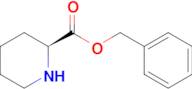 Benzyl (S)-piperidine-2-carboxylate