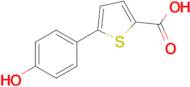 5-(4-Hydroxyphenyl)thiophene-2-carboxylic acid