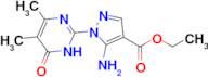 ethyl 5-amino-1-(4,5-dimethyl-6-oxo-1,6-dihydropyrimidin-2-yl)-1H-pyrazole-4-carboxylate