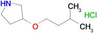 3-(Isopentyloxy)pyrrolidine hydrochloride