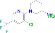 1-(3-Chloro-5-(trifluoromethyl)pyridin-2-yl)piperidin-3-amine hydrochloride