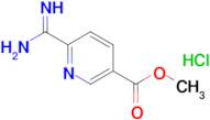 Methyl 6-carbamimidoylnicotinate hydrochloride