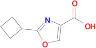 2-Cyclobutyloxazole-4-carboxylic acid