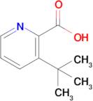 3-(Tert-butyl)picolinic acid