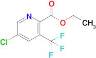 Ethyl 5-chloro-3-(trifluoromethyl)picolinate