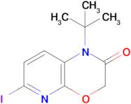 1-(Tert-butyl)-6-iodo-1H-pyrido[2,3-b][1,4]oxazin-2(3H)-one