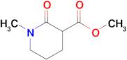Methyl 1-methyl-2-oxopiperidine-3-carboxylate