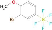 (3-Bromo-4-methoxyphenyl)pentafluoro-lambda6-sulfane