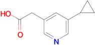 2-(5-Cyclopropylpyridin-3-yl)acetic acid