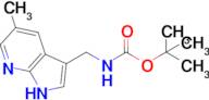 Tert-butyl ((5-methyl-1H-pyrrolo[2,3-b]pyridin-3-yl)methyl)carbamate