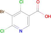 5-Bromo-4,6-dichloronicotinic acid