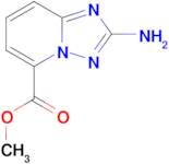 Methyl 2-amino-[1,2,4]triazolo[1,5-a]pyridine-5-carboxylate