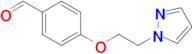 4-(2-(1H-pyrazol-1-yl)ethoxy)benzaldehyde