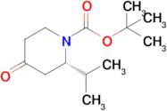 Tert-butyl (S)-2-isopropyl-4-oxopiperidine-1-carboxylate