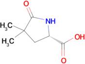 (S)-4,4-dimethyl-5-oxopyrrolidine-2-carboxylic acid