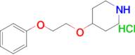 4-(2-Phenoxyethoxy)piperidine hydrochloride