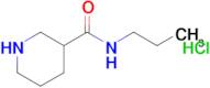 N-propylpiperidine-3-carboxamide hydrochloride