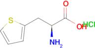 (S)-2-amino-3-(thiophen-2-yl)propanoic acid hydrochloride