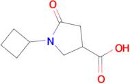 1-Cyclobutyl-5-oxopyrrolidine-3-carboxylic acid