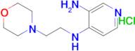 N4-(2-morpholinoethyl)pyridine-3,4-diamine hydrochloride