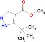 methyl 5-tert-butyl-1H-pyrazole-4-carboxylate