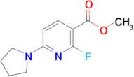 Methyl 2-fluoro-6-(pyrrolidin-1-yl)nicotinate